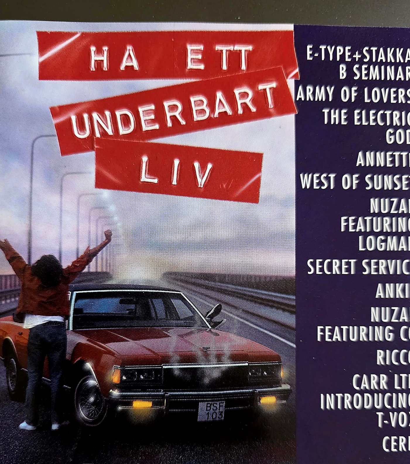 Ha ett underbart liv omslag
